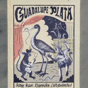 14 NOVIEMBRE - GUADALUPE PLATA